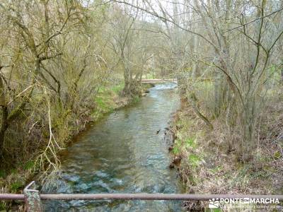 Barranco Río Dulce; campamentos de verano de la comunidad de madrid; mapas rutas senderismo;senderi